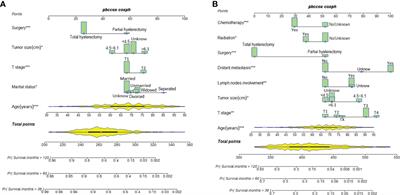 Endometrial clear cell carcinoma: A population-based study